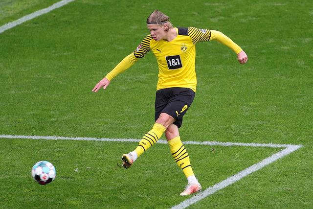 上海篮球市 上海篮球市